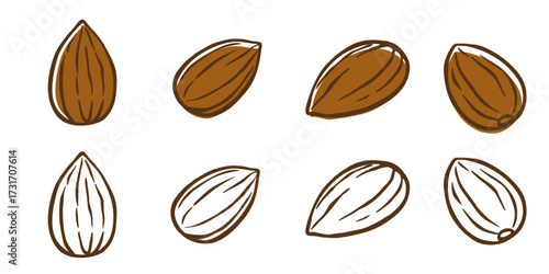 almond vector logo isolated on white background.