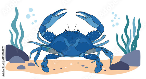 Blue crab scuttles across the sandy seabed surrounded by seaweed and bubbles.