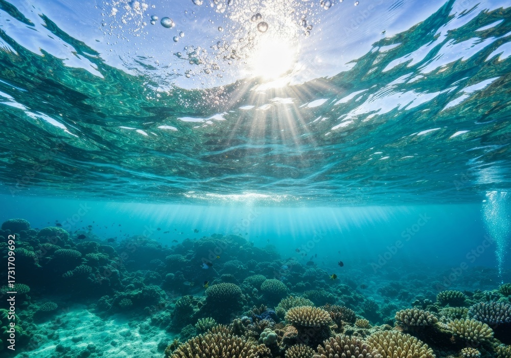 Fototapeta premium sun beams sun rays and sun shine underwater ocean scenery