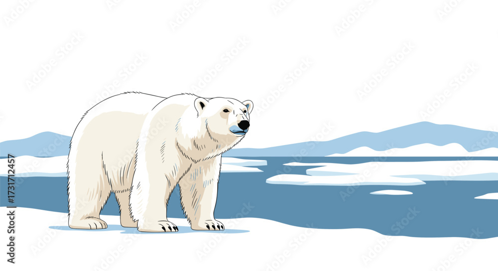 Fototapeta premium A polar bear walks across the icy arctic landscape.