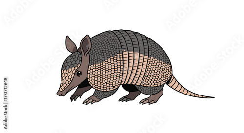 This is a drawing of a nine-banded armadillo.