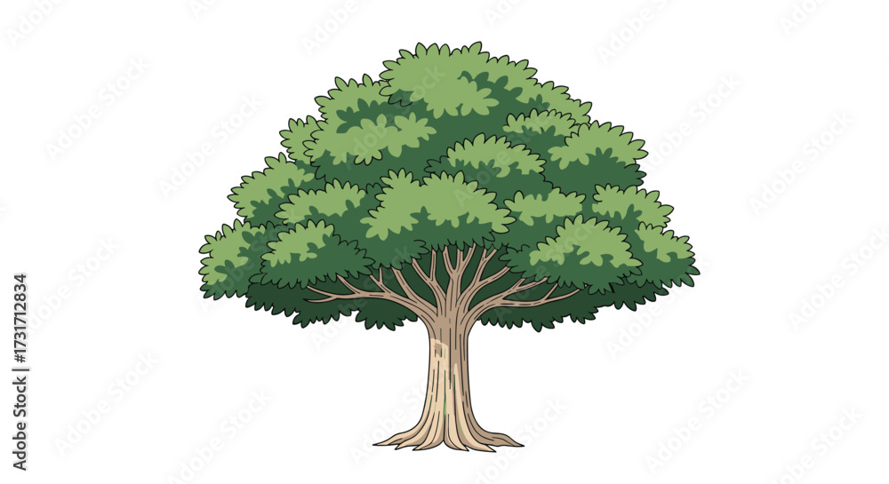 A large deciduous tree with a broad leafy crown and thick trunk.