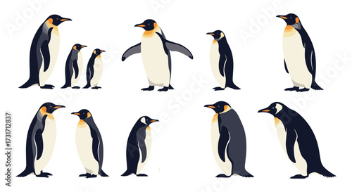 A collection of emperor penguins standing in various poses and groups.