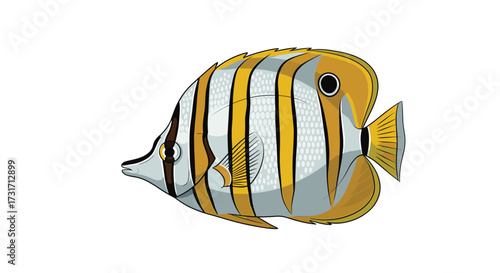 A beautiful striped butterflyfish swims in clear ocean water.