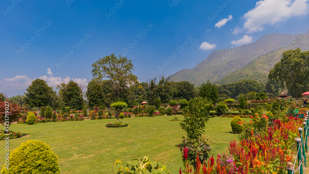 Fototapeta premium Stretching along the eastern banks of Dal Lake, Nishat Bagh-terraces of joy, where fountains sing and chinars guard the lake.