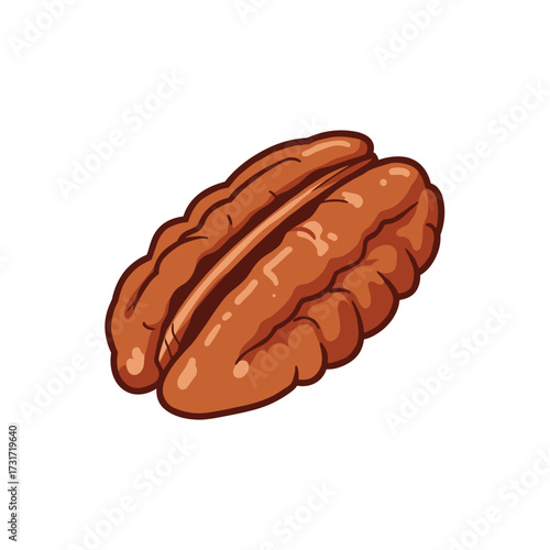 Pecan nut isolated for food illustration and design
