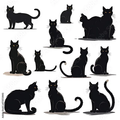 Fototapeta Collection of twelve stylized black cats in various poses against a white background