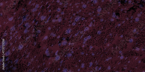 706Abstract bloody grunge overlays fog isolated on black background. Scary Red and black horror red grunge texture and old wall texture effect powder color explosion background. Dark red slate backgr5