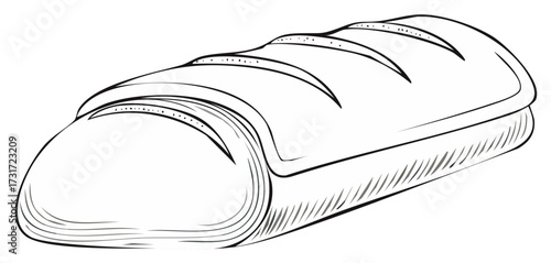 Hand drawn sketch illustration of a whole loaf of freshly baked bread