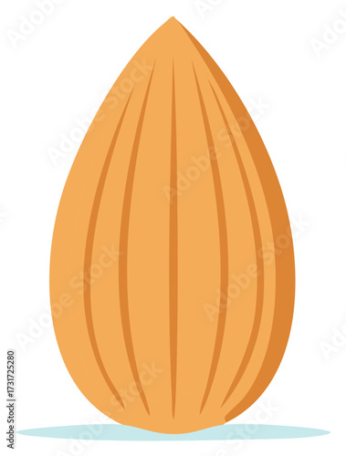 Single almond nut graphic illustration healthy organic food ingredient
