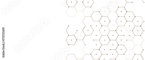 Vector digital geometric hexagonal science connection concept
