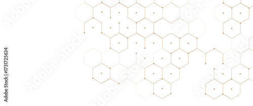 Vector digital geometric hexagonal science connection concept