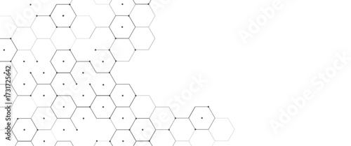 Vector digital geometric hexagonal science connection concept