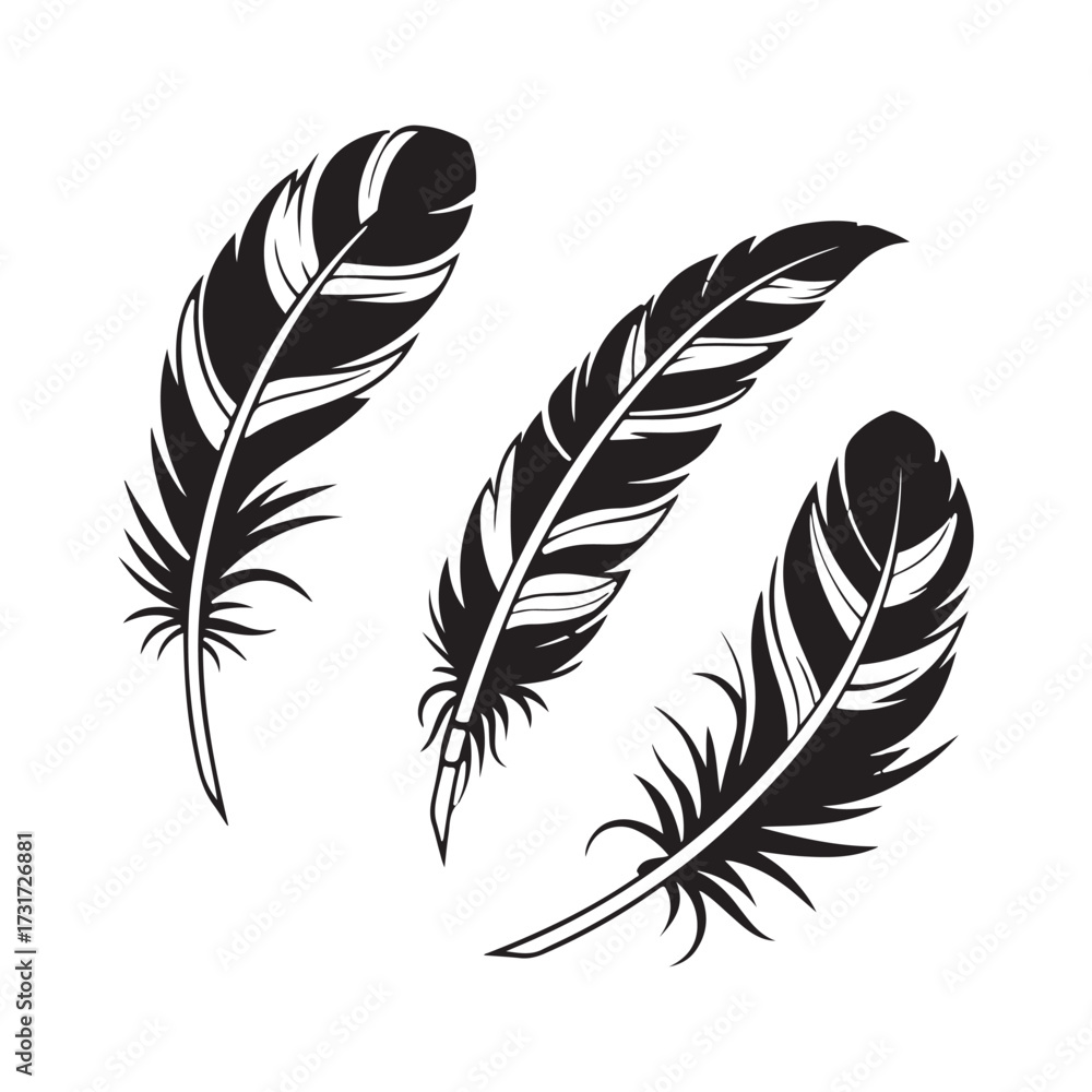 Obraz premium Three black and white stylized feathers on a white background