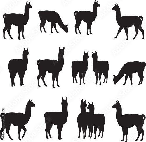 Llama Silhouette Collection: An artistic compilation of llama silhouettes showcasing various poses and perspectives, offering versatility for design projects. 