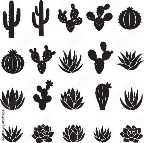 Botanical Silhouette Collection: Diverse silhouettes of cacti and succulents, capturing the architectural and organic forms of desert flora. A modern graphic that provides a visual feast.