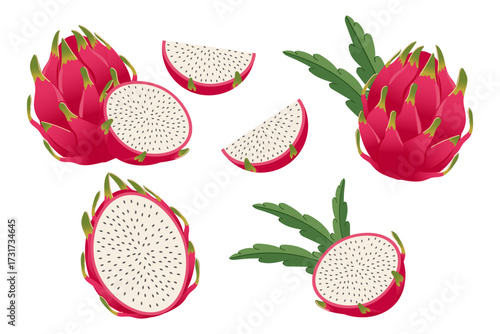 Pitaya fruits collection, whole, halved and sliced. Illustration of prickly dragon fruit. 