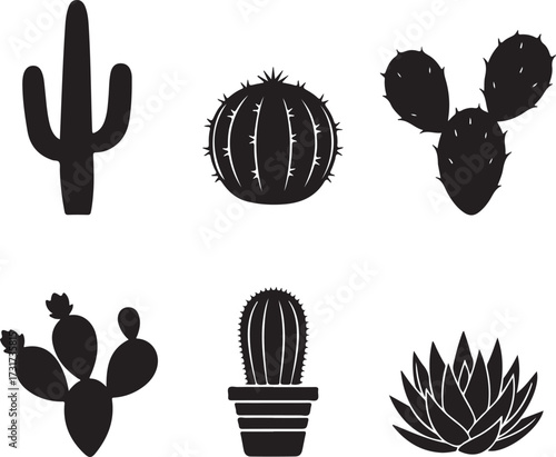 Cactus Silhouettes: A collection of striking black and white cactus silhouettes, each representing a unique form, offering a simple yet engaging portrayal of desert flora. 