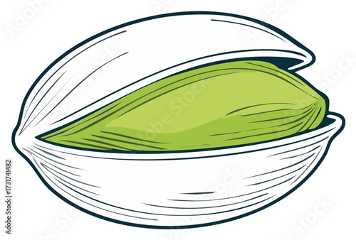 Delicious healthy pistachio kernel in a cracked open white shell vector graphic food ingredient snack