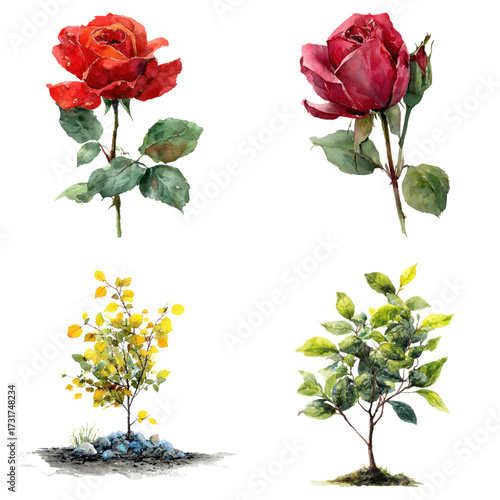 Elegant watercolor floral arrangement showcasing delicate roses and vibrant miniature trees, meticulously isolated on transparent background