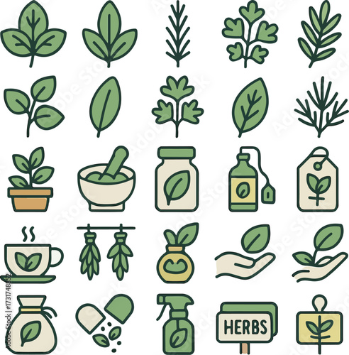 Herbal Elements Collection for Natural Remedies and Tea
