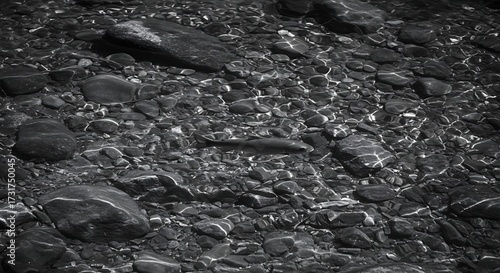 Underwater view of rocks and ripples in black and white