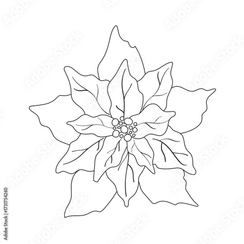 Christmas poinsettia flower outline design in vector format. Suitable for digital downloads, printable crafts, coloring books, and festive branding.