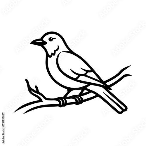 Bird sitting on oak branch minimal line art for spring equinox celebration  