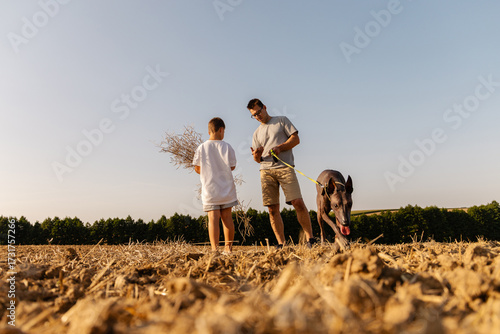 Photography A father and his young son stroll through a sunny field, accompanied by their playful dog