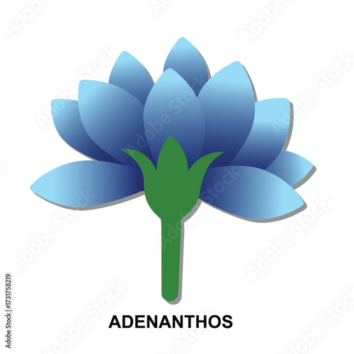 A stylized blue Adenanthos flower with a green stem and label, isolated on a white background.