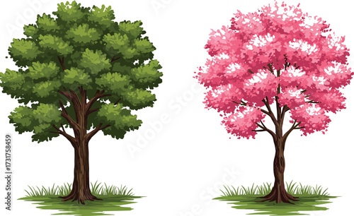 Green leafy tree and pink blossom tree side by side, nature illustration, spring and summer concept, isolated on white background