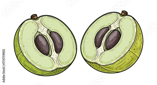 Two cut canistel fruits showcasing vibrant green skin, creamy white flesh, and dark brown seeds in