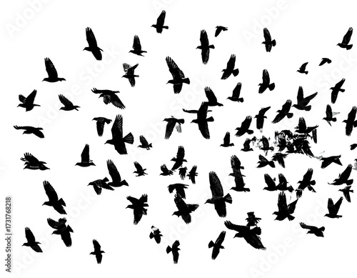 Wallpaper Mural Abstract chaotic splatter of light specks and streaks on black background Torontodigital.ca