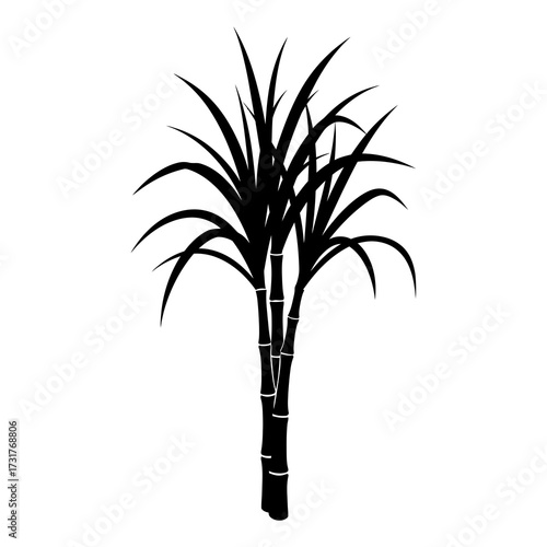 Black silhouette of sugarcane stalks with green leaves