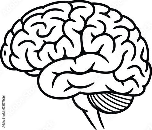 Black and white outline illustration of a human brain in profile drawing
