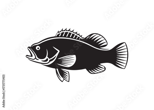 crappie silhouette vector of freshwater fish for fishing sport illustration