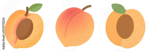 Delicious Peach Fruit Whole and Halved with Pit Illustration Set isolated