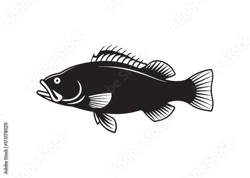 crappie silhouette vector of freshwater fish for fishing sport illustration.