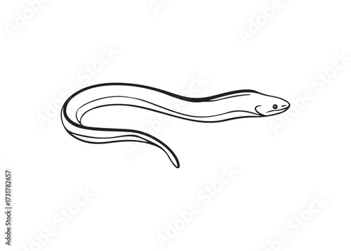 Eel fish silhouette black vector design for aquatic illustration.