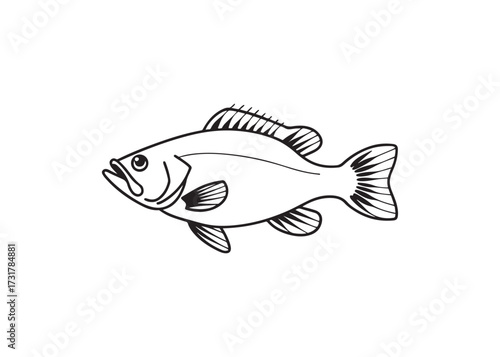 Black silhouette of crappie fish, freshwater species vector art design.