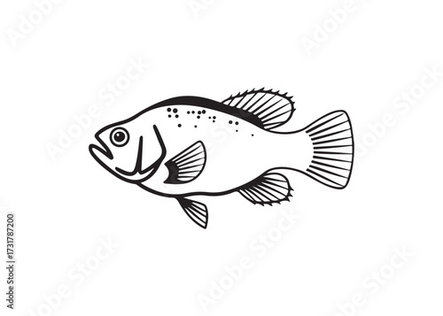 Bass fish black silhouette artwork, aquatic vector icon illustration