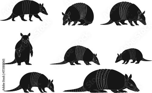 Armadillo silhouette, animal illustration, wildlife icon, armored mammal, nature graphic, exotic creature, vector art, educational design, stylized armadillo, artistic pose