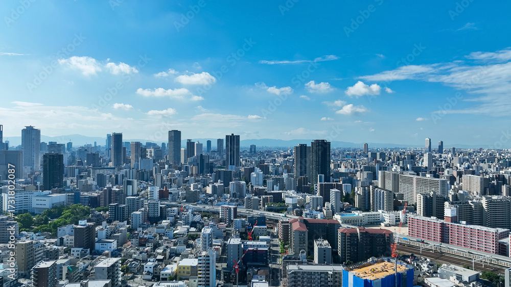 Fototapeta premium city, society, aerial view, drone, perspective, blue sky, real estate, construction, landscape, japan, traffic, road, urban area, cluster of buildings, horizon, building, economy, business, bird eye v