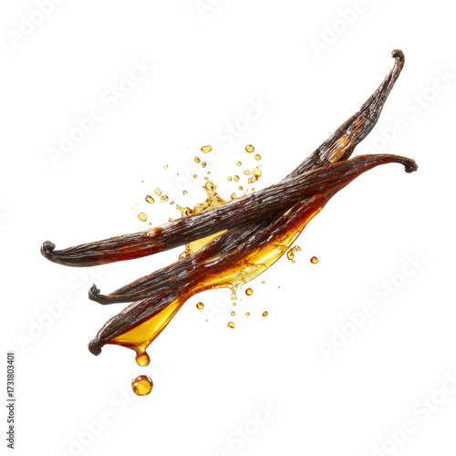 Single Vanilla Pod with Tiny Drops of Extract Isola 5771c561