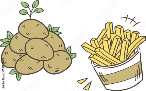 Crispy french fries vector illustration with fresh potatoes and leaf for a healthy snack and fast food meal design
