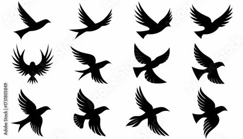 A collection of black silhouette illustrations depicting various stylized birds in flight, showcasing different wing positions and graceful movement.