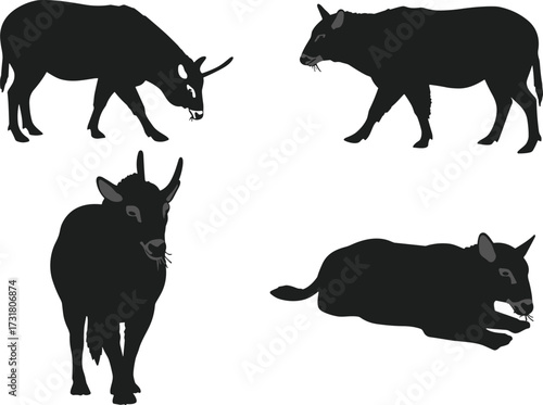 Cow silhouette vector, grazing standing lying poses, farm animal clipart, black livestock graphic, isolated peaceful posture design