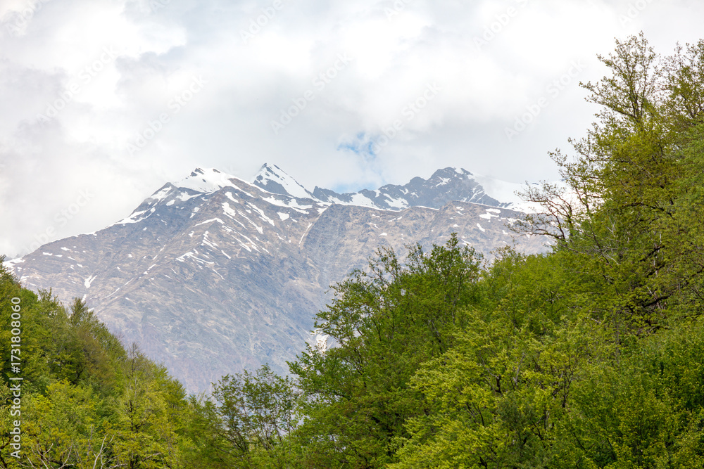 Fototapeta premium A mountain range with snow on the top and trees in the foreground