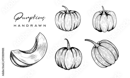 Pumpkin vector drawing set. Isolated hand drawn object with sliced piece and leaves. Vegetable engraved style illustration. Detailed vegetarian food sketch. Farm market product.