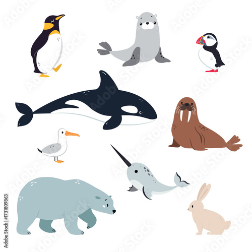 Northern Animal and Zoo Creature from Cold North Vector Set